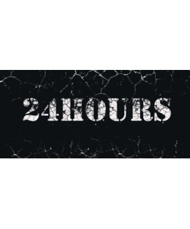 24 HOURS Steam Key GLOBAL